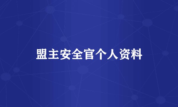 盟主安全官个人资料