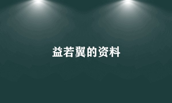 益若翼的资料