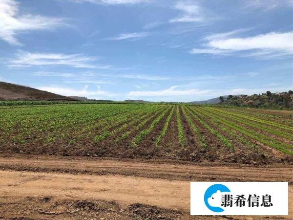 在美国的农民和农场主一年可以赚多少钱呢？