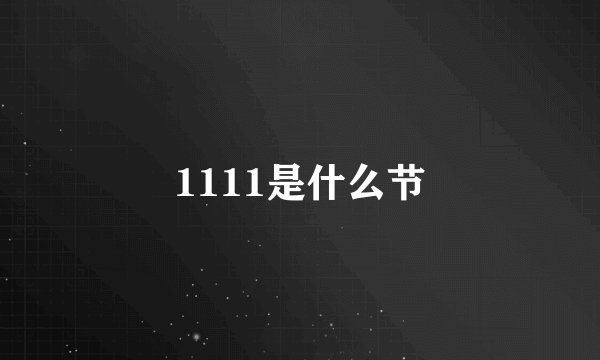 1111是什么节