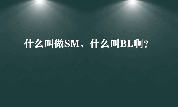 什么叫做SM，什么叫BL啊？