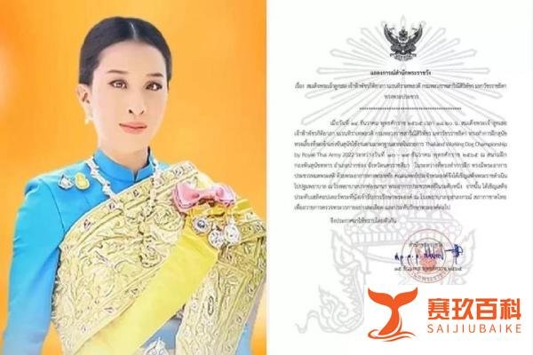 泰国长公主“帕差拉吉帝雅帕”入泰国曼谷医院心脏医院治疗