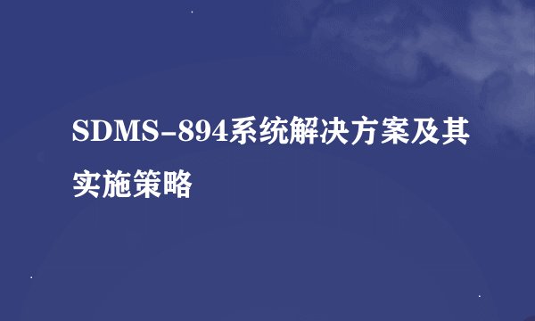 SDMS-894系统解决方案及其实施策略