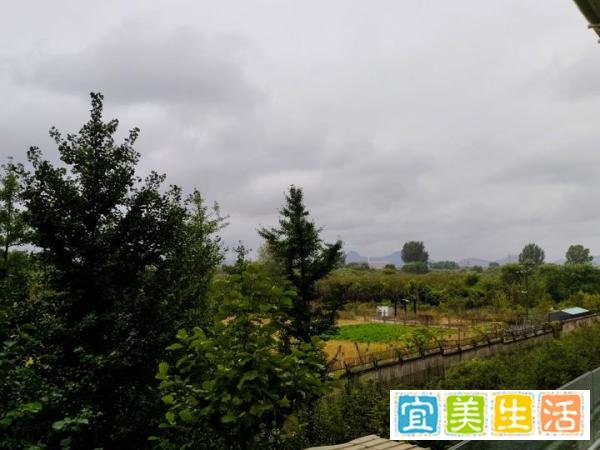 烟熏火燎的年代