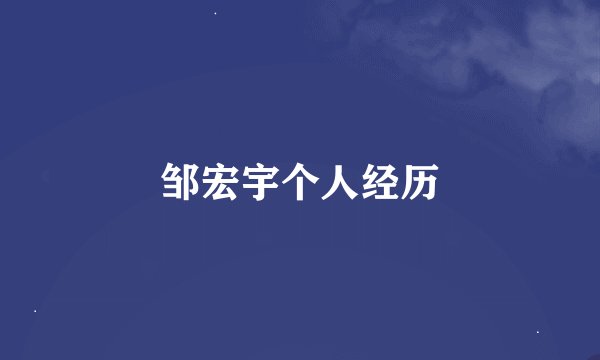 邹宏宇个人经历