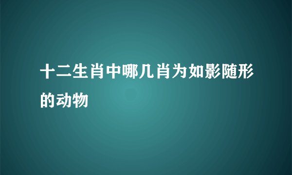 十二生肖中哪几肖为如影随形的动物