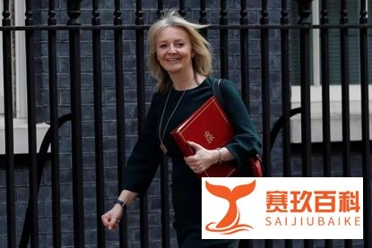 英国脱欧系列回顾-崩溃的英镑与飙升的民调