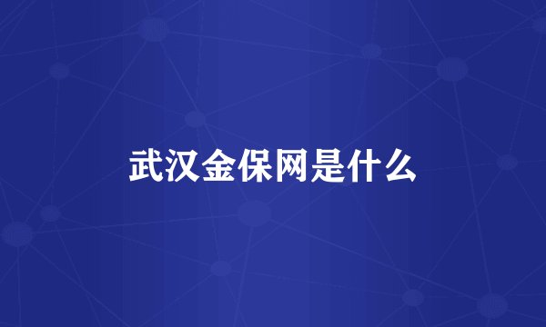 武汉金保网是什么