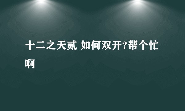 十二之天贰 如何双开?帮个忙啊