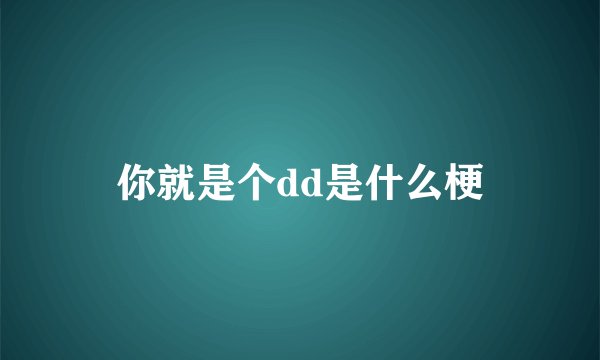 你就是个dd是什么梗