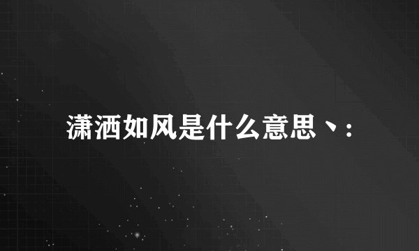 潇洒如风是什么意思丶: