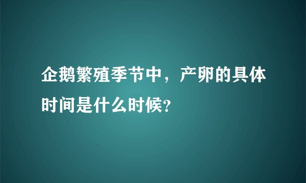 企鹅繁殖季节中，产卵的具体时间是什么时候？