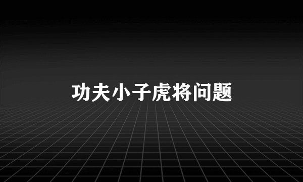 功夫小子虎将问题