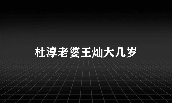 杜淳老婆王灿大几岁