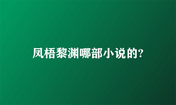 凤梧黎渊哪部小说的?