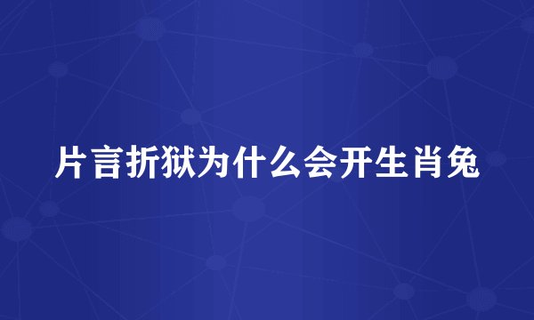 片言折狱为什么会开生肖兔