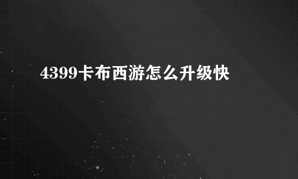 4399卡布西游怎么升级快