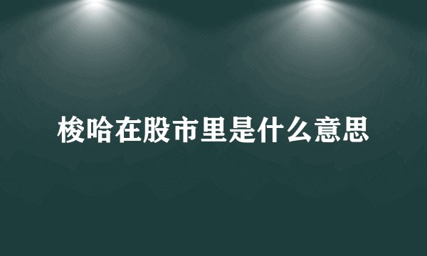 梭哈在股市里是什么意思
