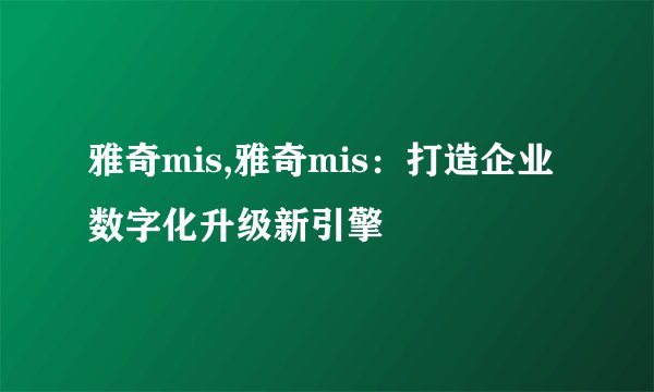 雅奇mis,雅奇mis：打造企业数字化升级新引擎