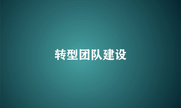 转型团队建设