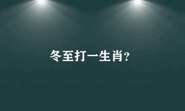 冬至打一生肖？