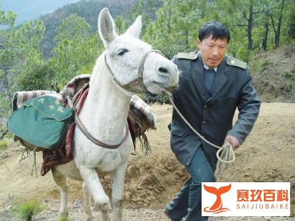 中国邮政又放大招了!将全面提速 邮件次日达