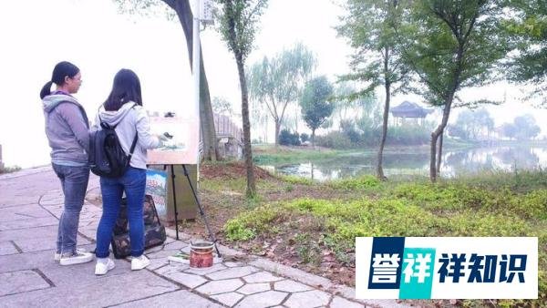 学生洗笔致河水污浊?官方回应:如果情况属实，将对其进行处理！