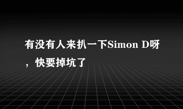 有没有人来扒一下Simon D呀，快要掉坑了