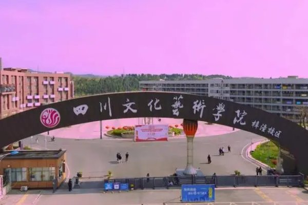 请问四川文化艺术学院校考合格分数线是多少？