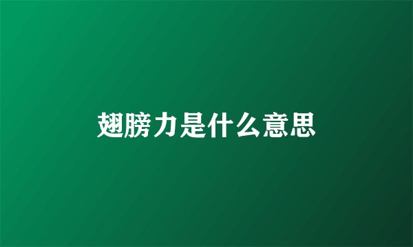 翅膀力是什么意思