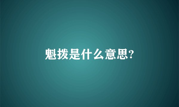魁拨是什么意思?