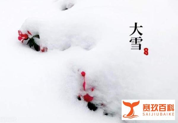 12月6日大雪,“大雪不冻,惊蛰不开”,啥意思,今年冬天冷吗?
