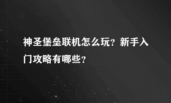 神圣堡垒联机怎么玩？新手入门攻略有哪些？