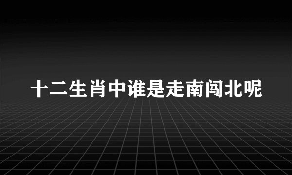 十二生肖中谁是走南闯北呢