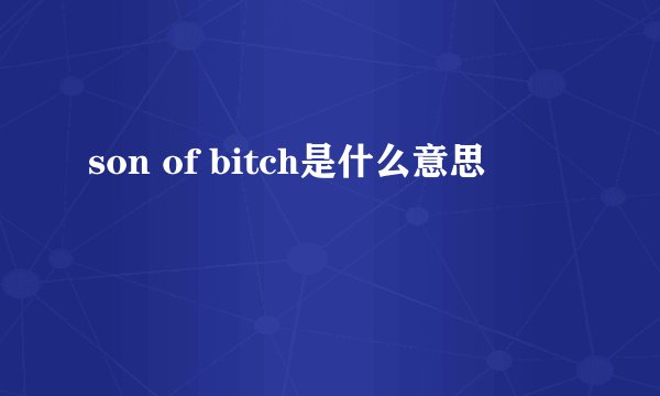 son of bitch是什么意思