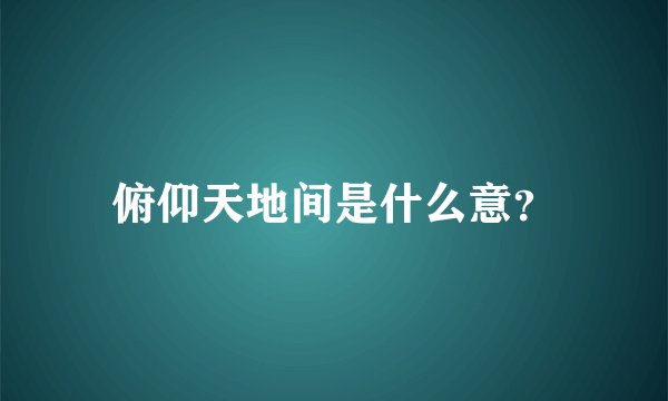 俯仰天地间是什么意？