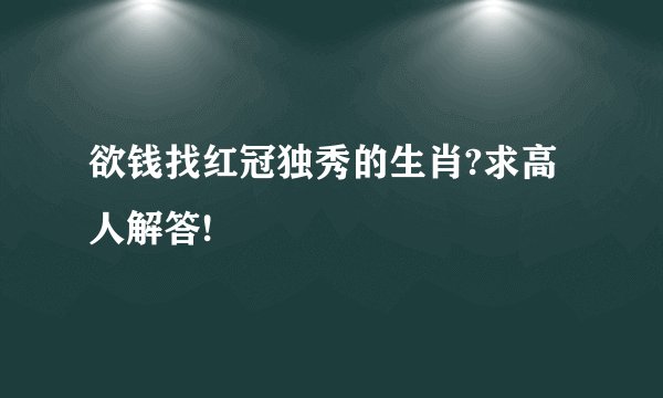 欲钱找红冠独秀的生肖?求高人解答!
