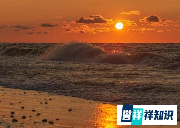 中医讲“心藏神”“心为神之舍”什么是神不守舍？