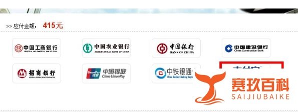 12306无法支付怎么办