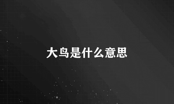 大鸟是什么意思