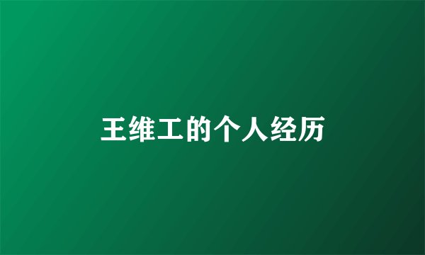 王维工的个人经历