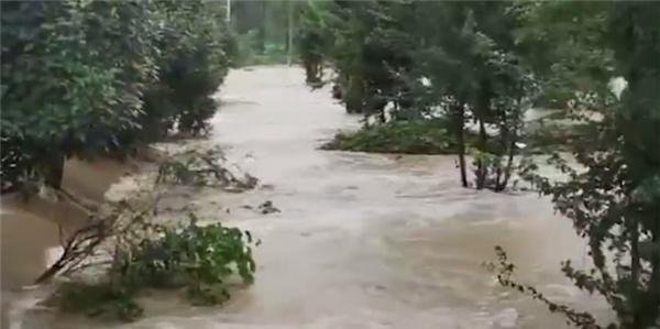 湖北随州暴雨冲塌多间楼房 这是咋情况?