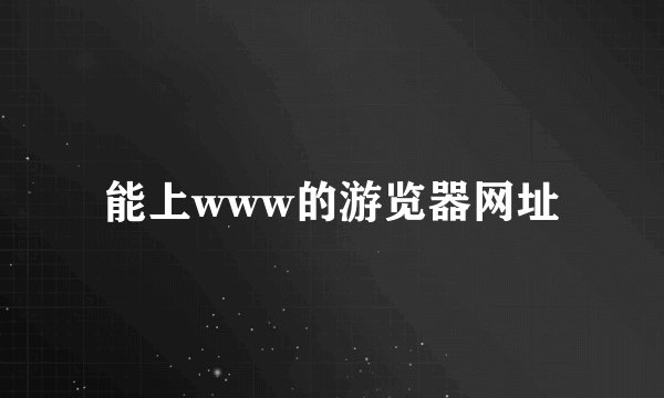 能上www的游览器网址