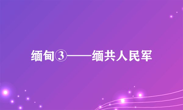 缅甸③——缅共人民军
