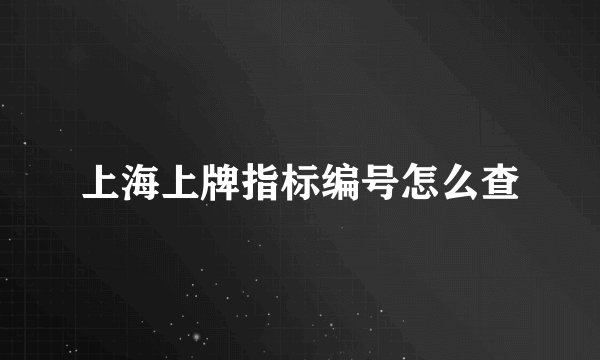 上海上牌指标编号怎么查