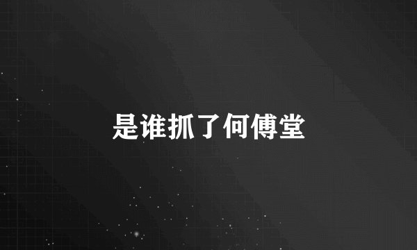 是谁抓了何傅堂