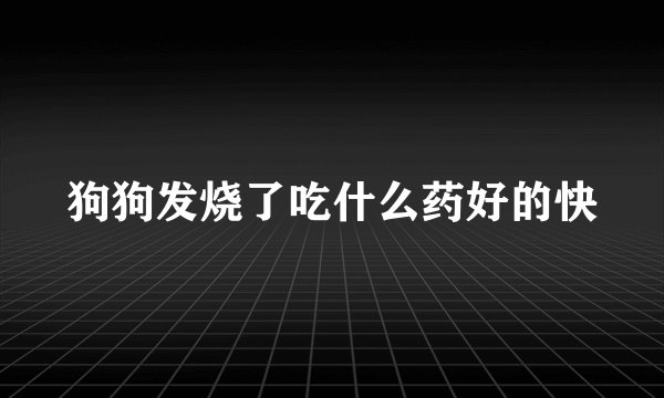 狗狗发烧了吃什么药好的快