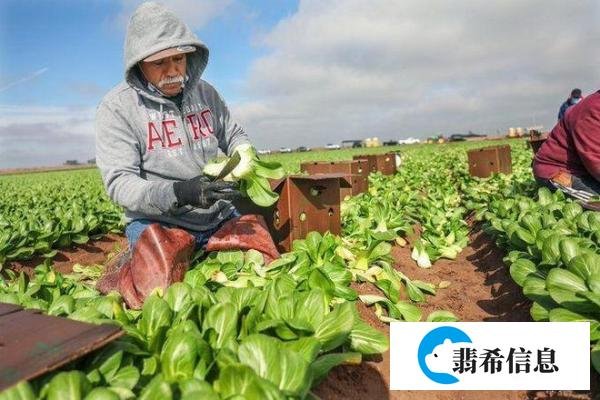 在美国的农民和农场主一年可以赚多少钱呢？