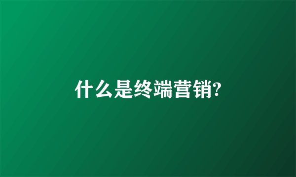 什么是终端营销?