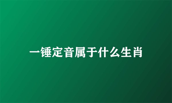 一锤定音属于什么生肖